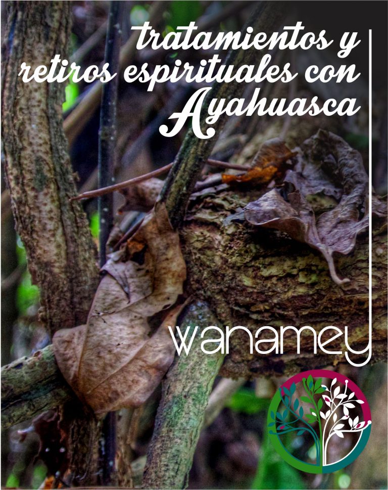 Curaciones Y Usos De La Ayahuasca Espiritualidad