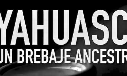 Ayahuasca: Testimonios y Preguntas