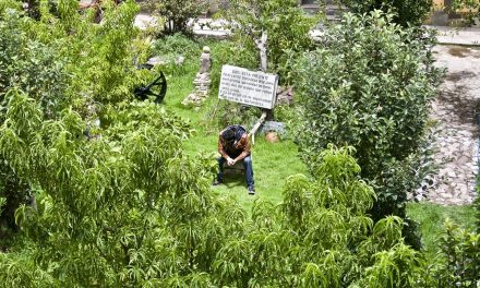 La Ayahuasca: no es un evento para disfrutar