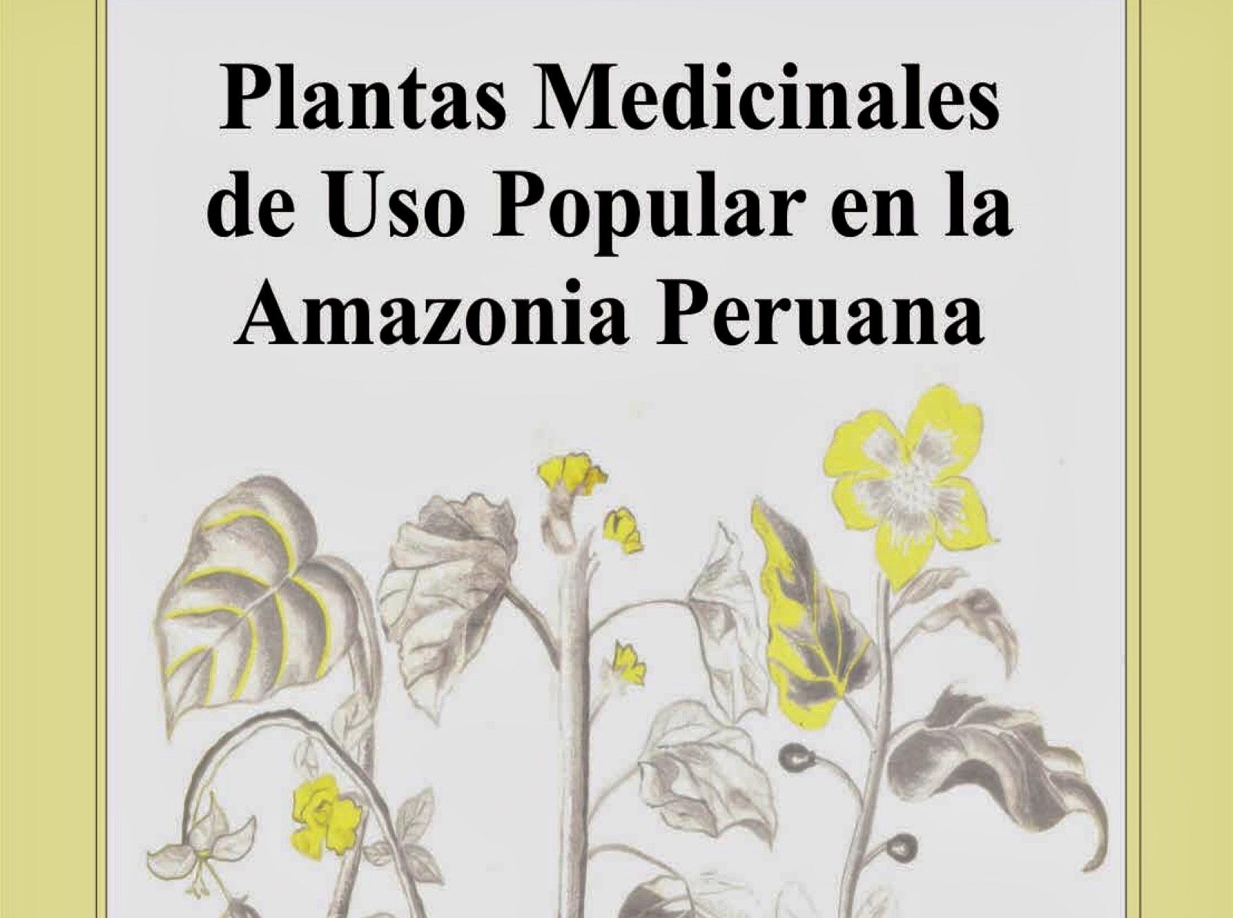 Plantas Medicinales De Uso Popular En La Amazonia Peruana
