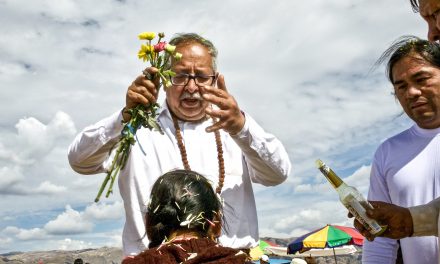 La Fuerza Cohesiva del Shaman