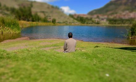 Ayahuasca: debemos ayunar y meditar