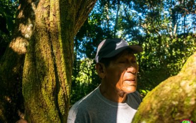 Ayahuasca: la práctica shamánica del maestro