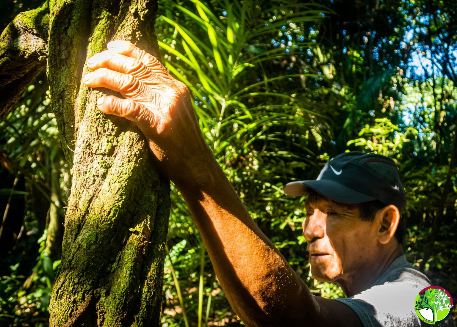 Información de la Ayahuasca efectos, dosis, usos e historia Chamanismo