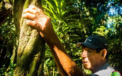 Información de la Ayahuasca: efectos, dosis, usos e historia