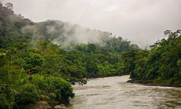 Cosmovisión de los Pueblos Amazónicos de Perú