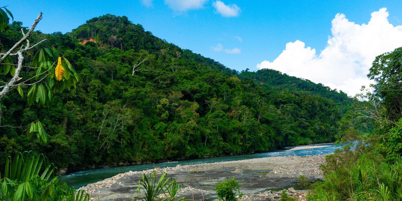 Mi Experiencia con la Ayahuasca en la Selva Amazónica de Perú